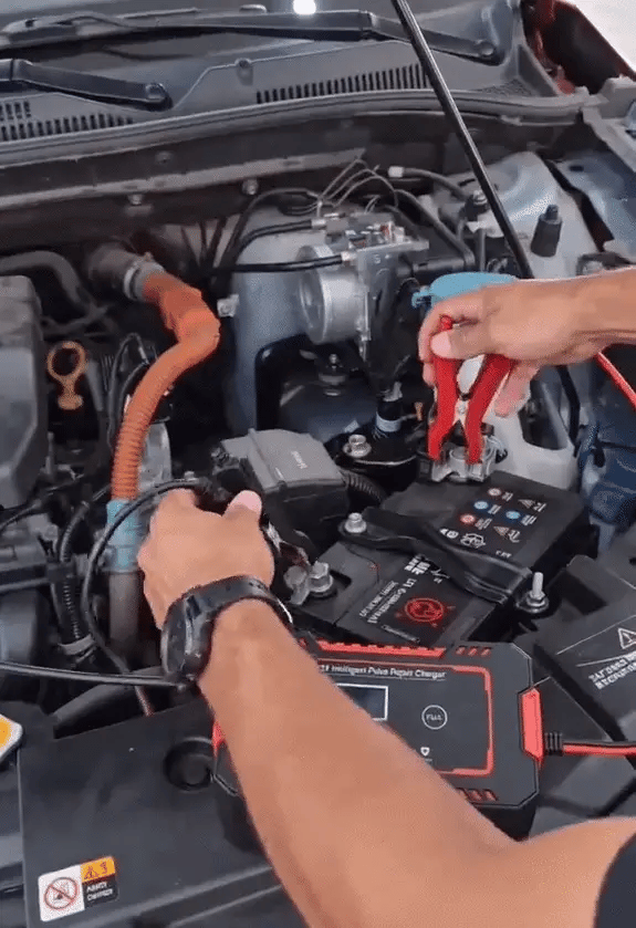 Cargador Reparador de Baterias VoltFix Pro™ | Regalón Pet