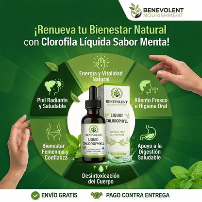 Clorofila Detox Benevolent
